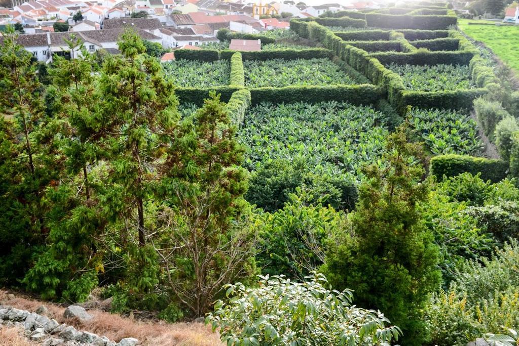 Hotel Quinta Amaro Al Angra do Heroísmo Zewnętrze zdjęcie